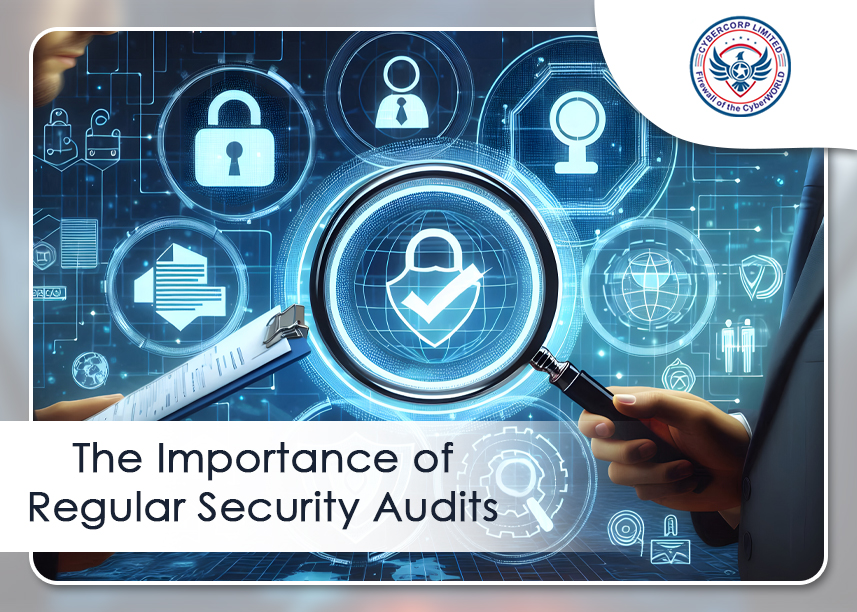 The Importance of Regular Security Audits